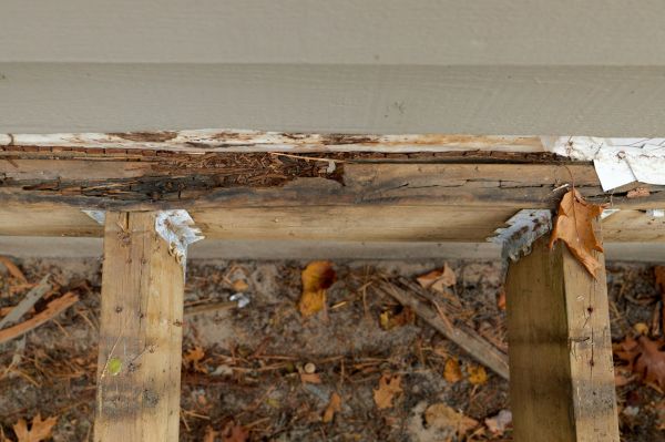 Acworth Wood Rot Repair