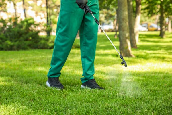 Acworth Lawn Treatment