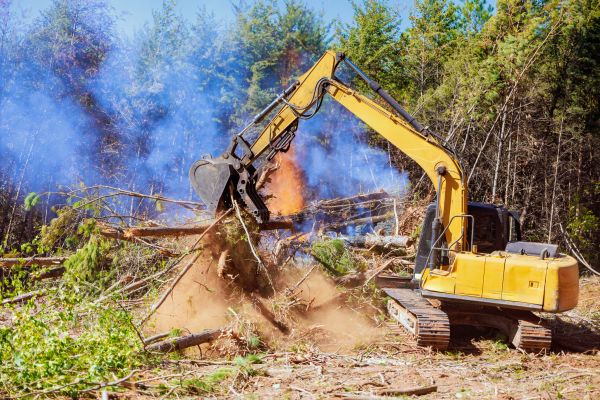 Acworth Land Clearing